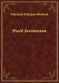 Pieśń bezimienna - ebook