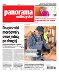 Panorama Wałbrzyska  – e-wydanie – 26/2024